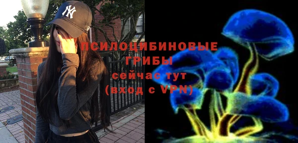 MESCALINE Аркадак