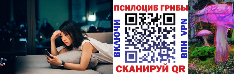 Галлюциногенные грибы Cubensis  Приволжск 